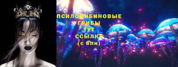 молекула духа Кинешма