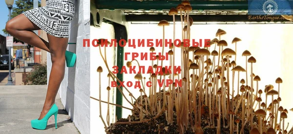 молекула духа Кинешма