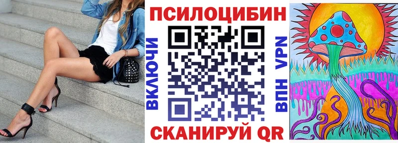 Купить закладки  Заволжье  Псилоцибиновые грибы MAGIC MUSHROOMS 